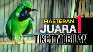 Download lagu 🔴JUARA 1 TIKET MOBILAN‼️MASTERAN CUCAK IJO GACOR FULL MATERI NGERI mp3 Download lagu 🔴JUARA 1 TIKET MOBILAN‼️MASTERAN CUCAK IJO GACOR FULL MATERI NGERI mp3