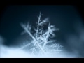 Trentemoller - Snowflake (Live Version)