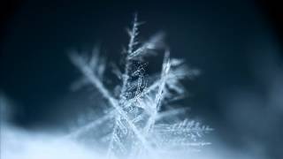 Trentemoller - Snowflake (Live Version)