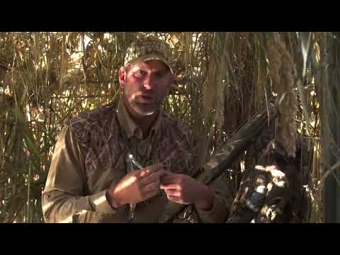 Mastering the Art of Teal Calling | Ducks Unlimited Waterfowl Hunting Tips