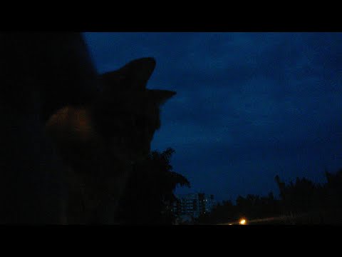 🔴Собака Баскервилей 😨😈😁😁😁