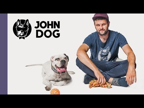 Jak wypracować zabawkę dla psa - TRENING PSA - John Dog