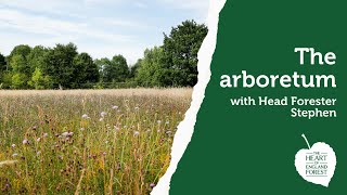A Tour of the Arboretum with Head Forester Stephen