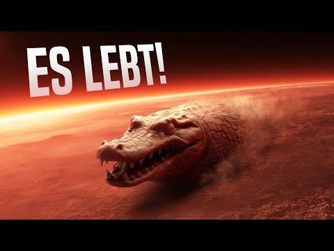 Wissenschaftler glauben, dass es Leben auf dem Mars gibt! Warum verbirgt die NASA es?
