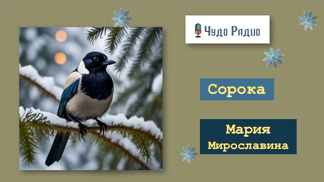 Мария Мирославина. Сорока