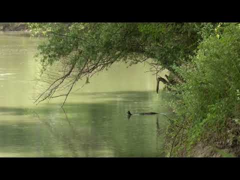 Ungheni, jud. Iași - QR4ALL