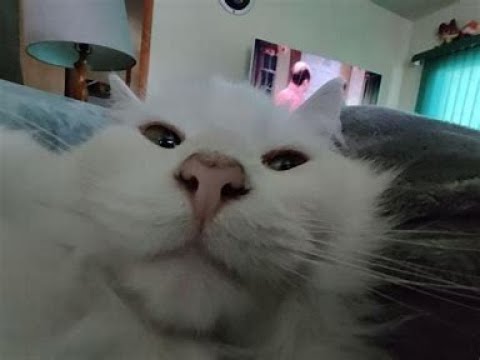 osu!mania top 9k  L session (x3) my osu broke :(