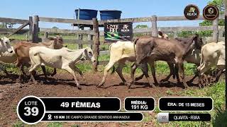 Vídeo LOTE 39