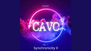 Synchronicity II