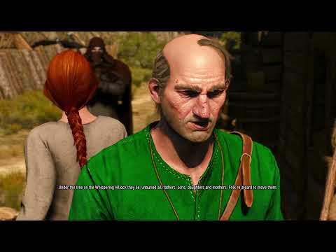 witcher 3- killing whispering hillock spirit before talking to the elder in downwarren