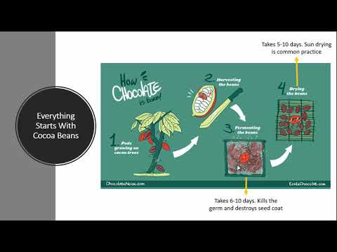 CIMA OCS November 2019 Industry Analysis Chokolate Box