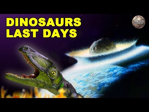 A Breakdown of the End of the Dinosaur Era