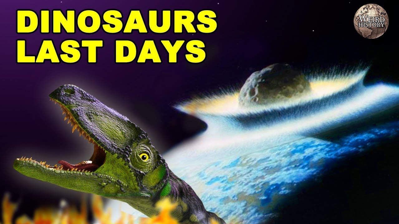 Video thumbnail for A Breakdown of the Asteroid That Wiped Out the Dinosaurs