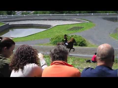 OSI Grenzlandhof & ISIHAMMER 2012 - www.isibless.de