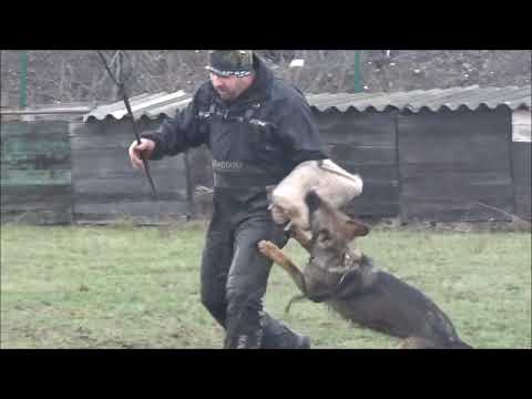 Chira Zde-Sko, protection 1/2019, helper Petr Svoboda