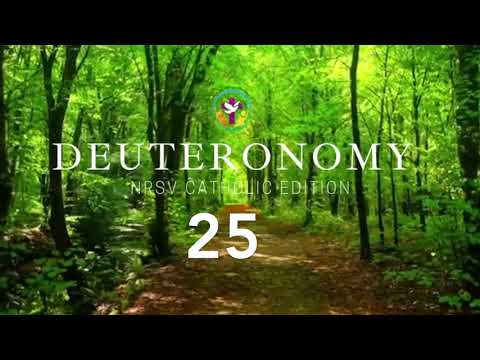 Deuteronomy 25 | English Audio Bible | AFCM | NRSV Catholic Edition