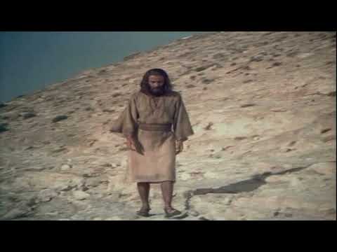 87 Ku lunaku olukulu