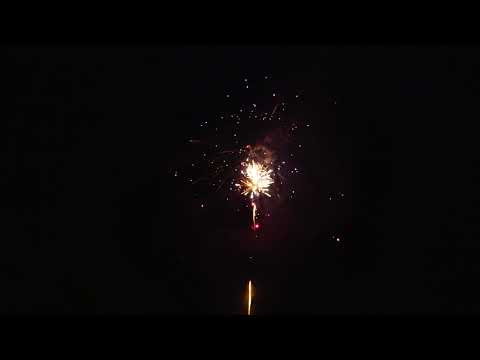 Startrade 100s Red Glitter to Red Glitter Willow w. Blue Pistil