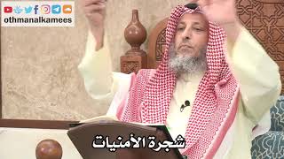 323 - تعليق الأمنيات على شجرة الأمنيات - عثمان الخميس