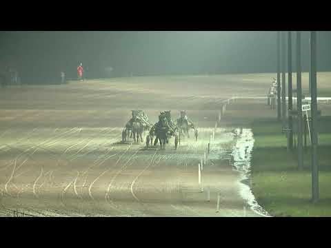 2019.11.09. 08. futam - SZABADKAI DÍJ