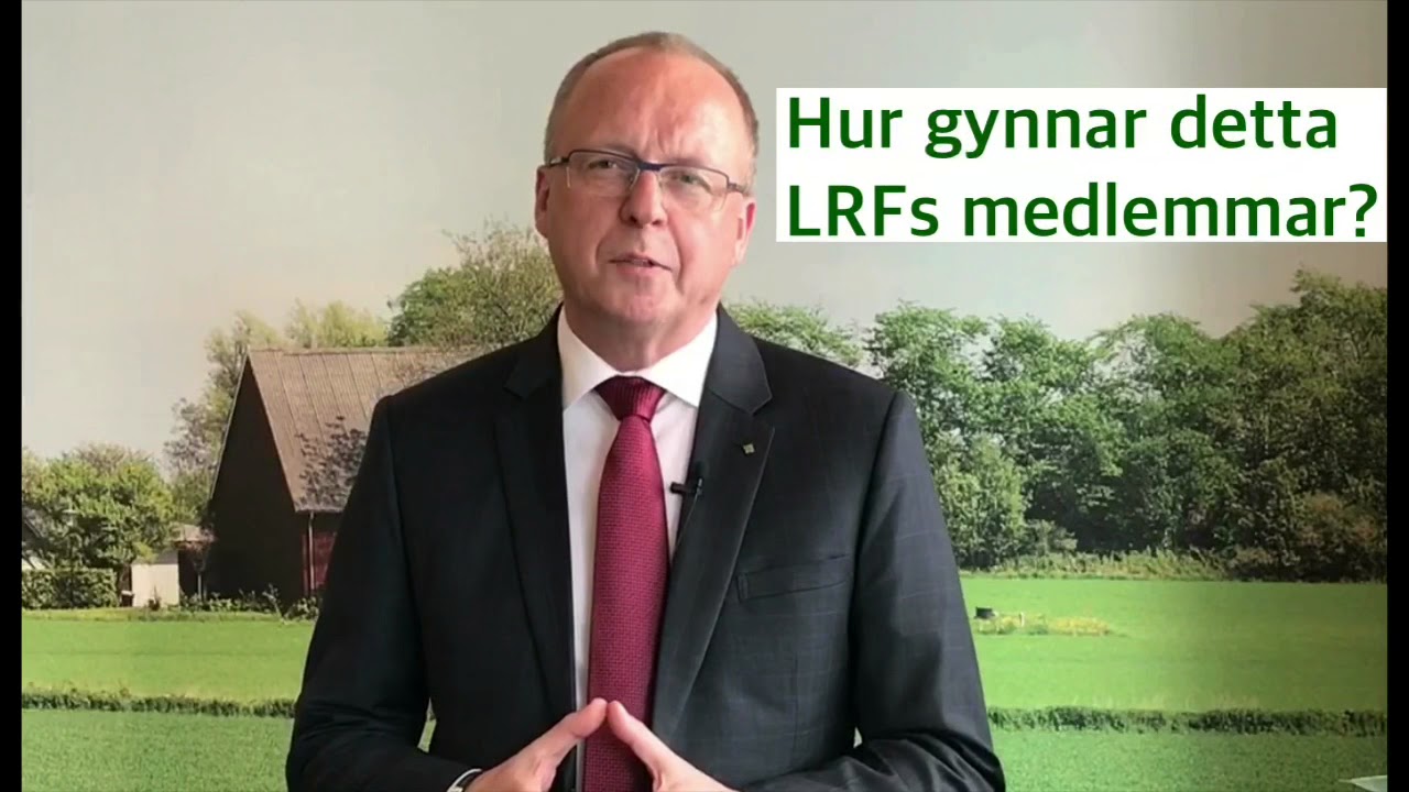 Träffa lockport människor hittills image 8