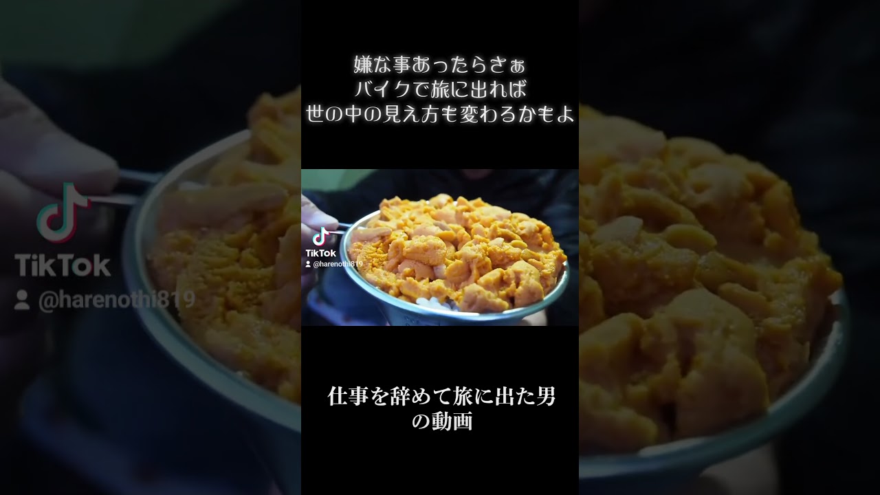 仕事を辞めて旅に出た男の記録👍#日本一周バイク旅 #日本一周#キャンプツーリング #r1200rs