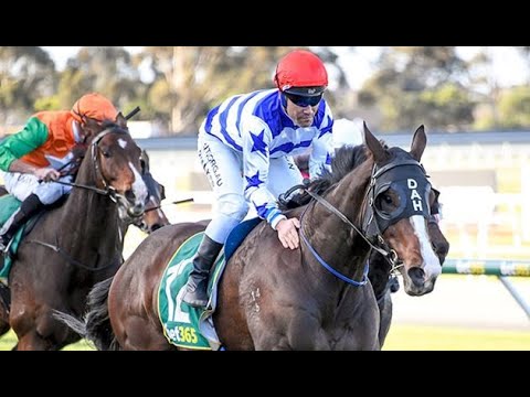 Master Montaro - 2020/05/29