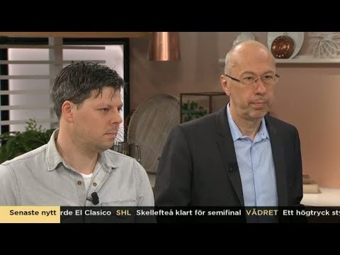 TV4-reportrarna om sina upplevelser i Syrien - Nyhetsmorgon (TV4)