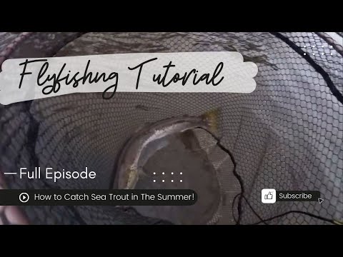 Sea trout fishing in Norway - How to Catch Sea Trout in The Summer!