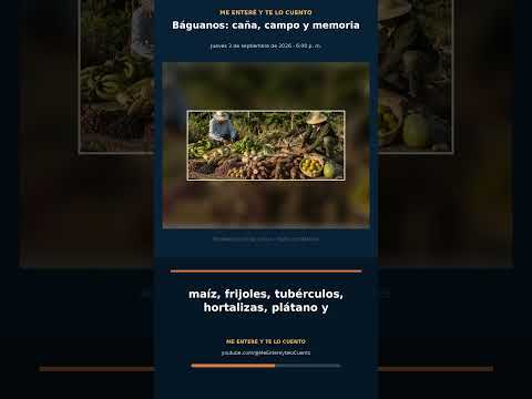 Báguanos: caña, campo y memoria