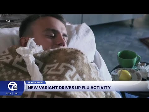 What we know about the new flu variant known as subclade K