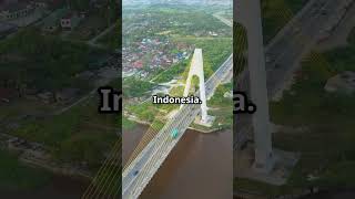 Download lagu The Origin of Jambi City Born from the Tale of a Giant Tree🌳🌴 #originofcities #uniquefacts #sumat... mp3