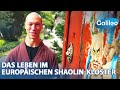 Daily Life At The Shaolin Temple Europe Rigorous Training Much Sacrifice Much Discipline