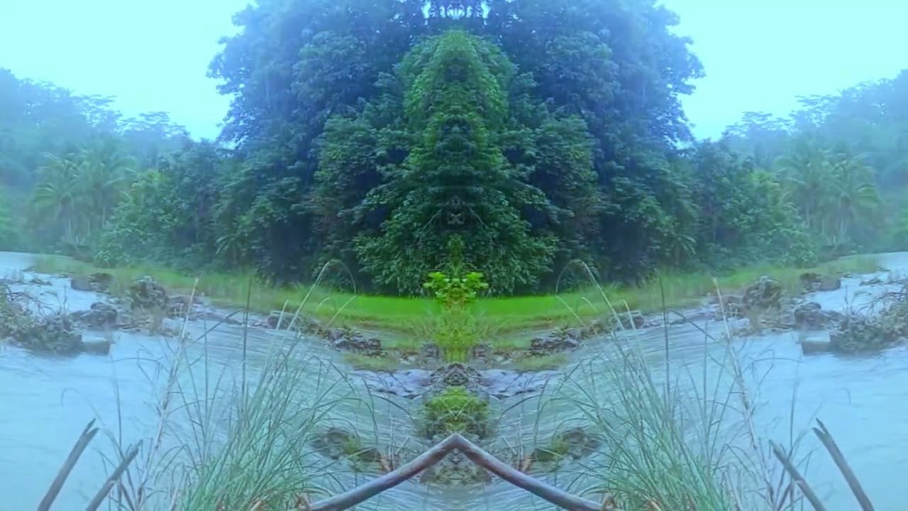 relaxation music for stress relief and healing healing nature sounds for sleep