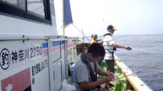 巳之助丸のイメージ