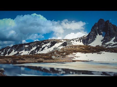 heal all wounds (cuts, scrapes, bug bites, burns, etc) subliminal