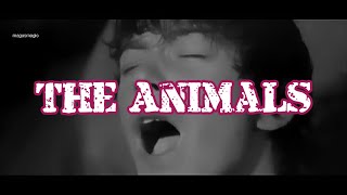 The Animals : Mess Around