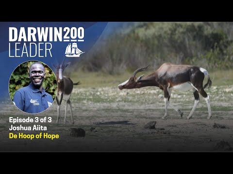 De Hoop Bontebok of Hope Episode 3