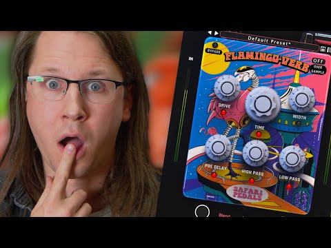 Safari video review