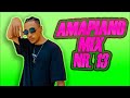 Amapiano Mix 13 [2023] Ice Beats Slide I Jay Music I Quantum Sound I 2woBunnies I Murumba Pitch