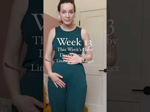 13 weeks pregnant baby development