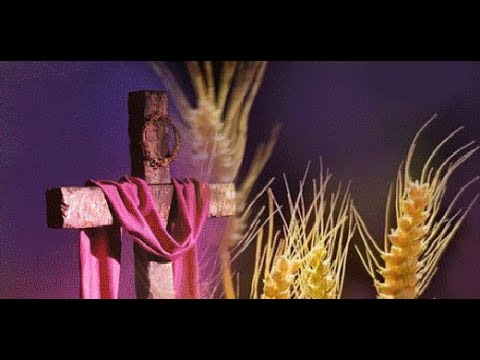 I danas ti Otac nebeski govori! Homilija, p. Rozo Palić, F.A.T.