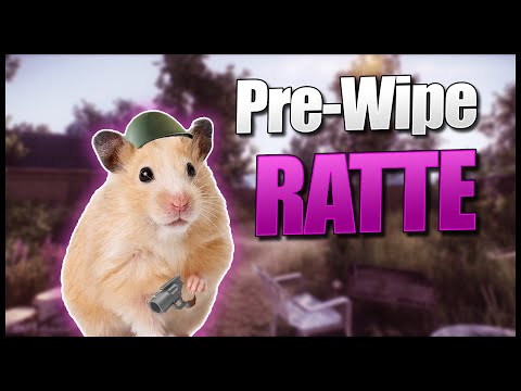 Wipe Training - Loot Goblin - Escape from Tarkov