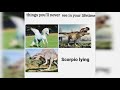 The Best 11 Zodiac Facts Scorpio Memes Funny