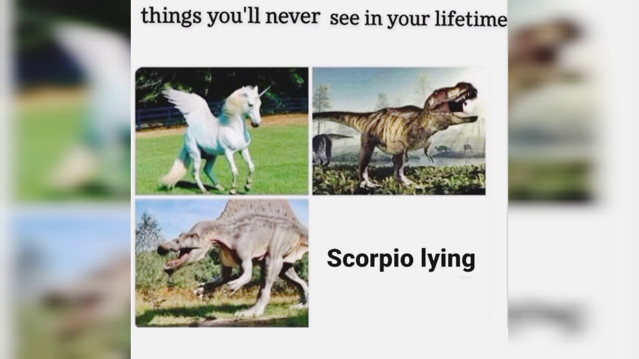 Hilarious Scorpio zodiac memes #1 😂😂😂