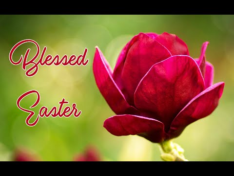 💖 🐇  Blessed  Easter  🐇 💖