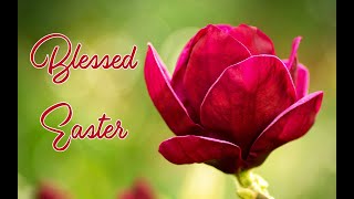 💖 🐇  Blessed  Easter  🐇 💖
