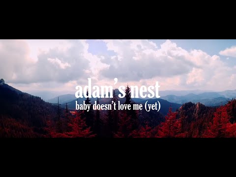 Adam's Nest - Baby doesn't love me (yet)