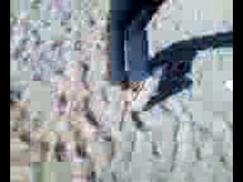 Baywatch (alex and wesley)