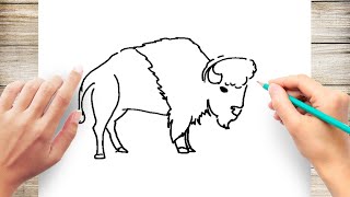 How to Draw Bison Step by Step Easy for Kids